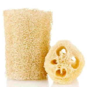 BUCHA VEGETAL (FD70)-KI LEGAL