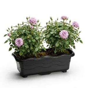 JARDINEIRA PEQUENA PRETA 1,5LTS (12PÇS)-INJEPLASTEC