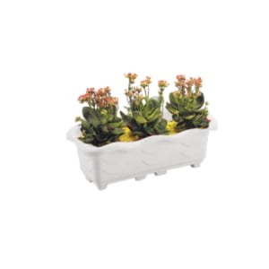 JARDINEIRA PEQUENA MÁRMORE 1,5LTS (12PÇS)-INJEPLASTEC