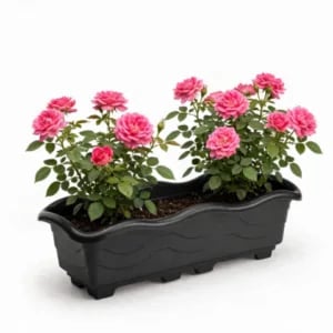 JARDINEIRA GRANDE PRETA 6,5LTS (12PÇS)-INJEPLASTEC