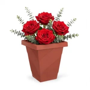 VASO ROMA QUADRADO PEQUENO TELHA 10,0LTS (6PÇS)-INJEPLASTEC