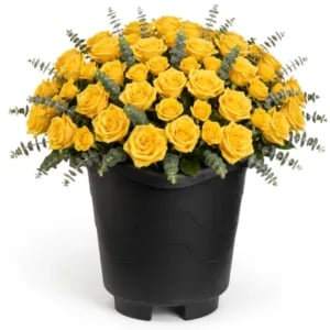 VASO REDONDO EXTRA GRANDE PRETO 26LTS (3PÇS)-INJEPLASTEC