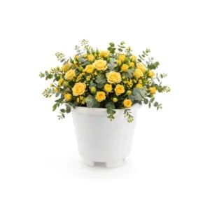 VASO REDONDO PEQUENO MÁRMORE 2,0LTS (12PÇS)-INJEPLASTEC