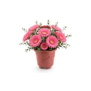VASO REDONDO MINI TELHA 0,5LTS (12PÇS)-INJEPLASTEC