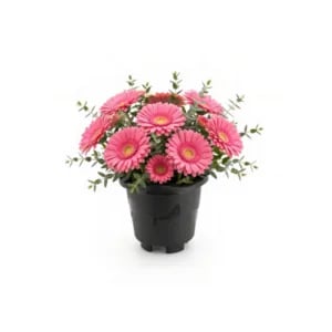 VASO REDONDO MINI PRETO 0,5LTS (12PÇS)-INJEPLASTEC