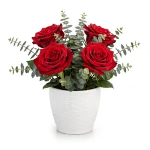 VASO RATTAN BRANCO MINI 1,8LTS (12PÇS)-INJEPLASTEC
