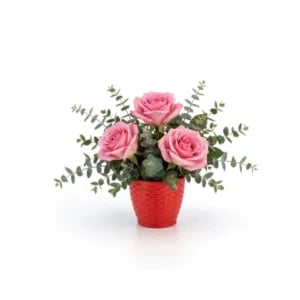 VASO RATTAN M3 REDONDO COLOR (12PÇS)-INJEPLASTEC