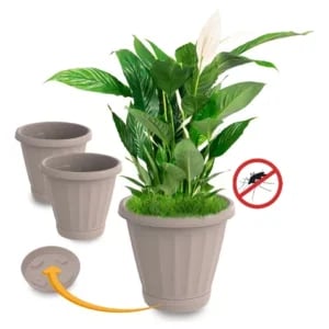 VASO Nº22 C/PRATO PALHA (6PÇS)-UNINJET