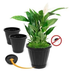 VASO Nº22 C/PRATO PRETO (6PÇS)-UNINJET