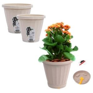 VASO Nº35 C/PRATO PALHA (6PÇS)-UNINJET