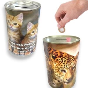 COFRE ECOLÓGICO PEQUENO (24PÇS)-NOVAES