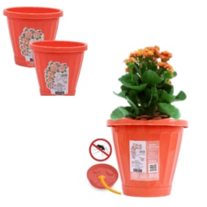 VASO Nº35 C/PRATO CORAL (3PÇS)-UNINJET