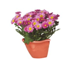 VASO DE PAREDE TELHA 2,6LTS (12PÇS)-INJEPLASTEC