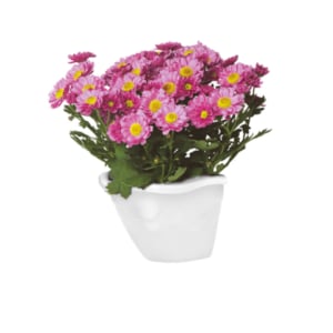 VASO DE PAREDE MÁRMORE 2,6LTS (12PÇS)-INJEPLASTEC