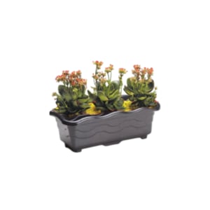 JARDINEIRA PEQUENA PRETA 1,5LTS (12PÇS)-INJEPLASTEC