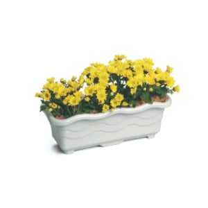 JARDINEIRA MÉDIA MÁRMORE 3,5LTS (12PÇS)-INJEPLASTEC