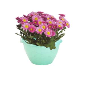 VASO DE PAREDE COLOR 2,6LTS (12PÇS)-INJEPLASTEC