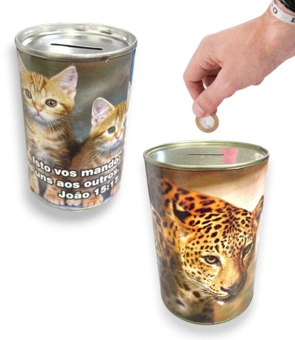 COFRE ECOLÓGICO PEQUENO (24PÇS)-NOVAES