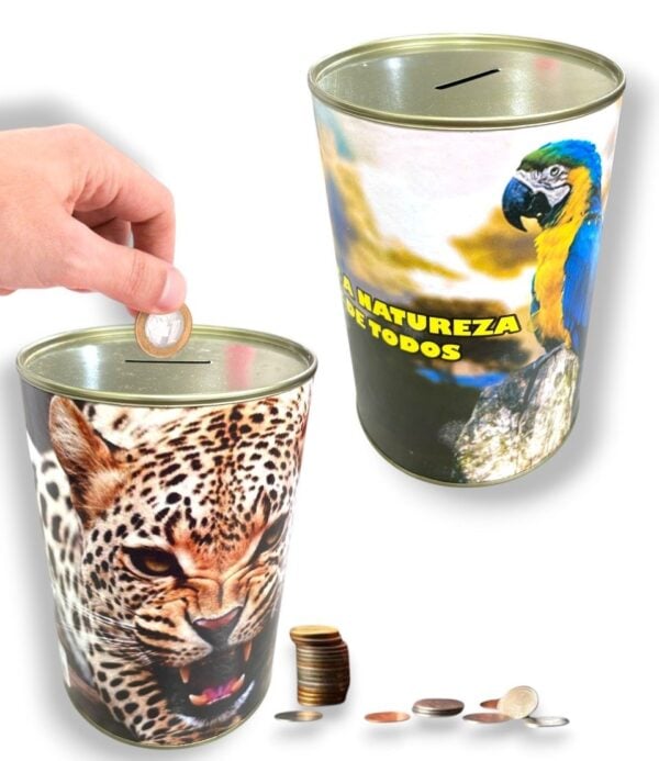 COFRE ECOLOGICO GRANDE (24PÇS)-NOVAES