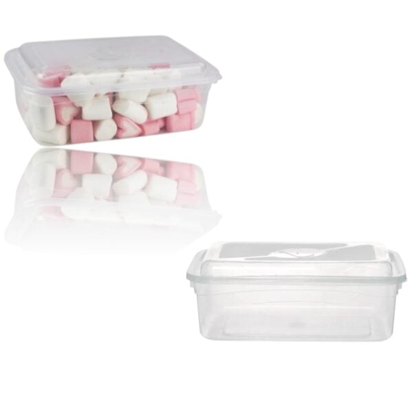 CAIXA ORGANIZADORA RETANGULAR TRANSP.2,5LTS (24PÇS)-INPLAST