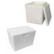 CAIXA TÉRMICA ISOPOR 45LTS (6PÇS)-PLACTERM