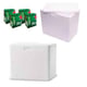 CAIXA TÉRMICA ISOPOR 35LTS (6PÇS)-PLACTERM