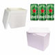 CAIXA TÉRMICA ISOPOR 17LTS (6PÇS)-PLACTERM